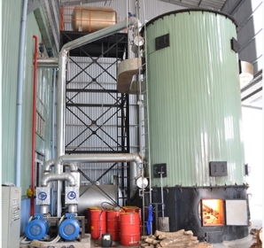 立式生物质导热油锅炉