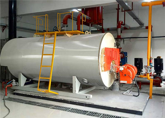 河南燃油锅炉洛阳食品厂6吨燃气蒸汽锅炉